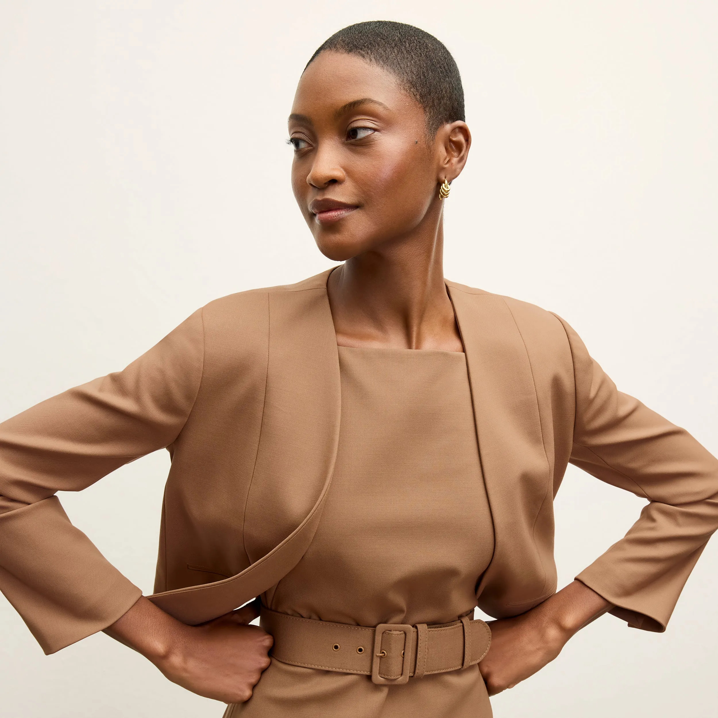 Cynthia Dress - Washable Wool Twill :: Camel Modern Touch Easy Care Fabric Everyday Comfort