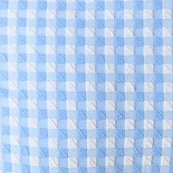 The Classic Bikini Bottom - Crinkle Gingham - Sky Gingham Youthful Vibes Bonded Seam Technology