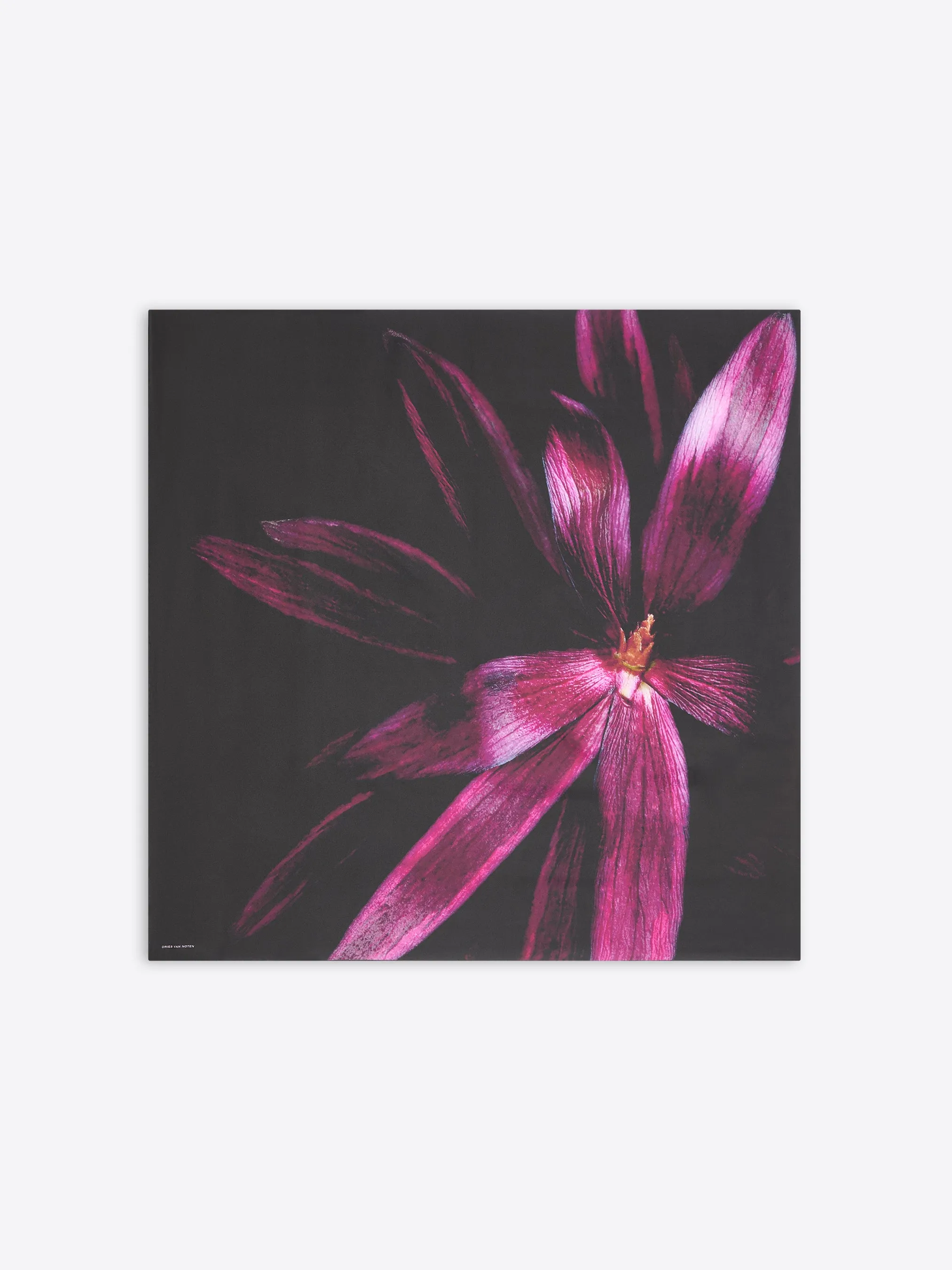 Custom fit suit Printed silk scarf