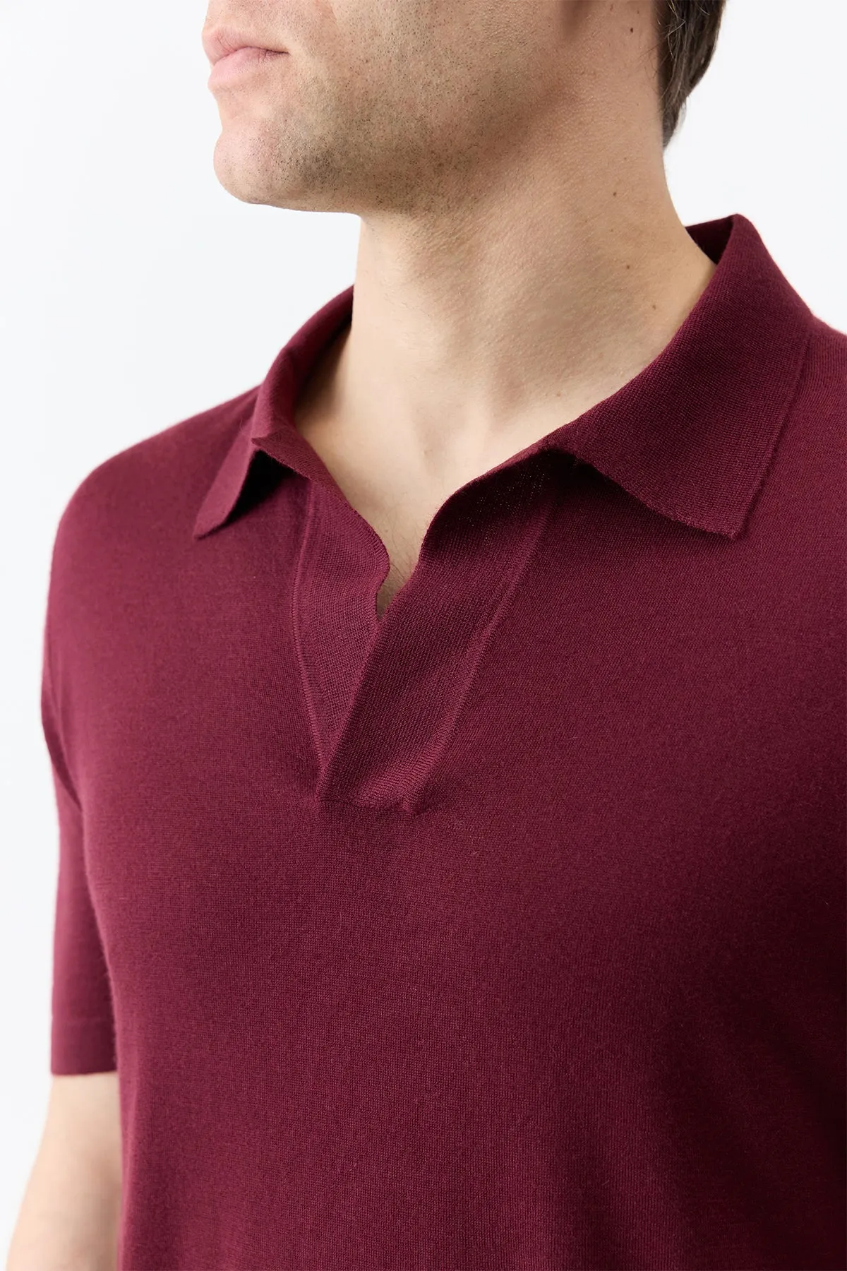 Simple Look Textured Fabric Stendhal Knit Short Sleeve Polo in Bordeaux Cashmere